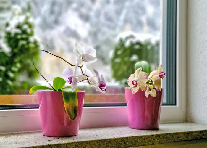 Haus 201 By Interhome Apartment Pfunds